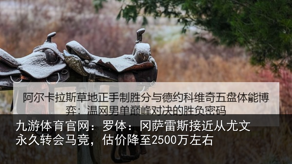 九游体育官网：罗体相关情况文永相关情况至2500万左右