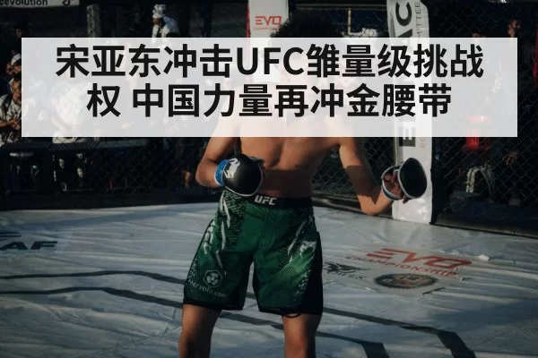 宋亚东冲击UFC雏量级挑战权 中国力量再冲金腰带