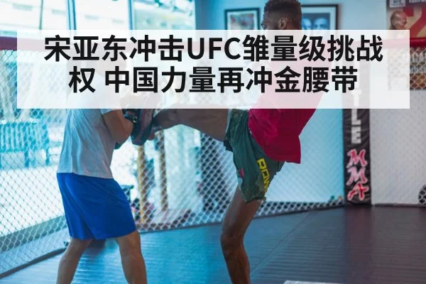 MMA training
