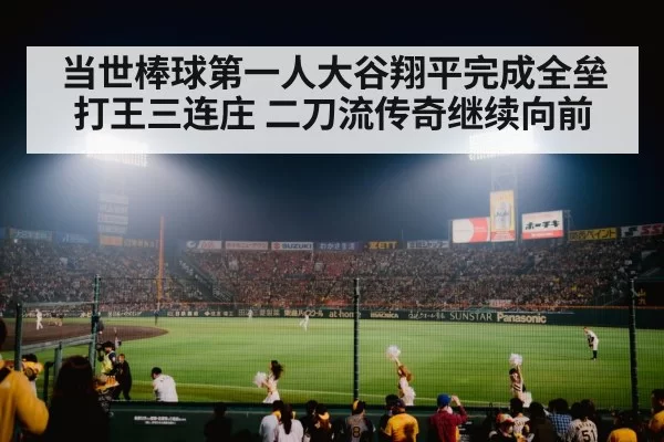 baseball stadium night